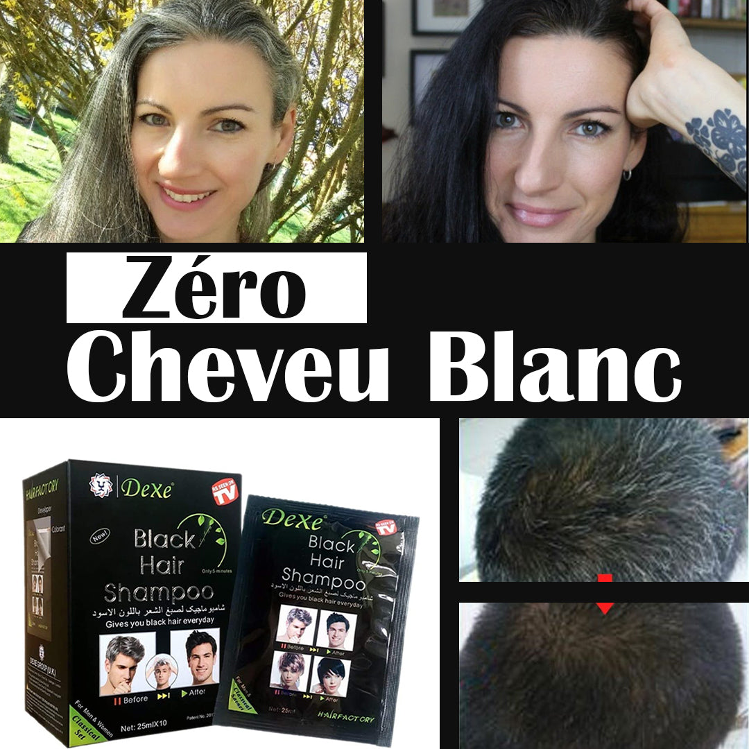 Shampoing Colorant Noir
